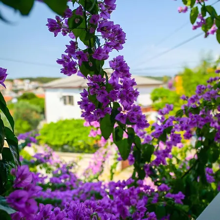 Helena1 Appartamento